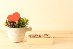 桜井　さき(さくらい　さき)