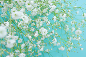 近藤　さら(こんどう　さら)