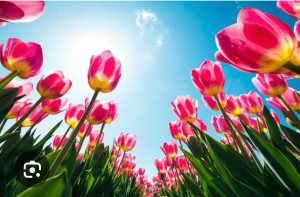 滝沢　楓(たきざわ　かえで)