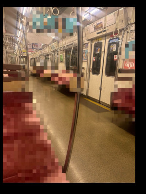 かほ
