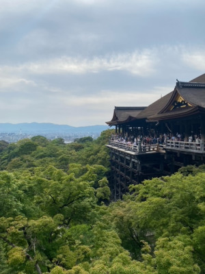 ねる ZEROの頂点No.１看板嬢