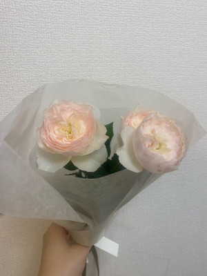 ねる ZEROの頂点No.１看板嬢