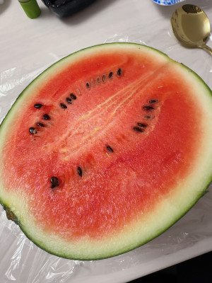 ももか