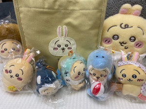 ねる ZEROの頂点No.１看板嬢